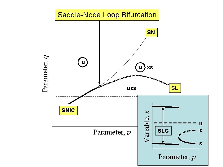 Saddle-Node Loop Bifurcation Parameter, q SN u u xs SNIC Parameter, p SL Variable,