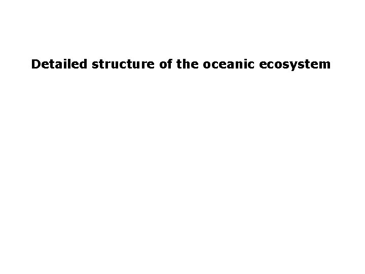 Detailed structure of the oceanic ecosystem 