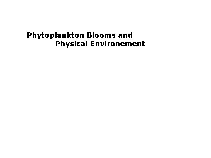 Phytoplankton Blooms and Physical Environement 