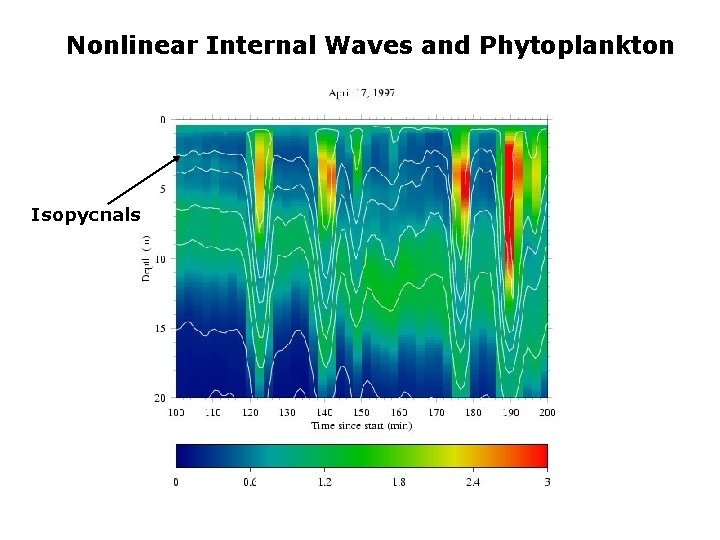 Nonlinear Internal Waves and Phytoplankton Isopycnals 