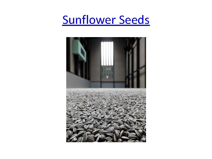 Sunflower Seeds 