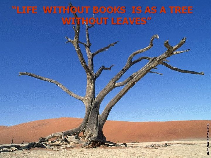 “LIFE WITHOUT BOOKS IS AS A TREE WITHOUT LEAVES” 
