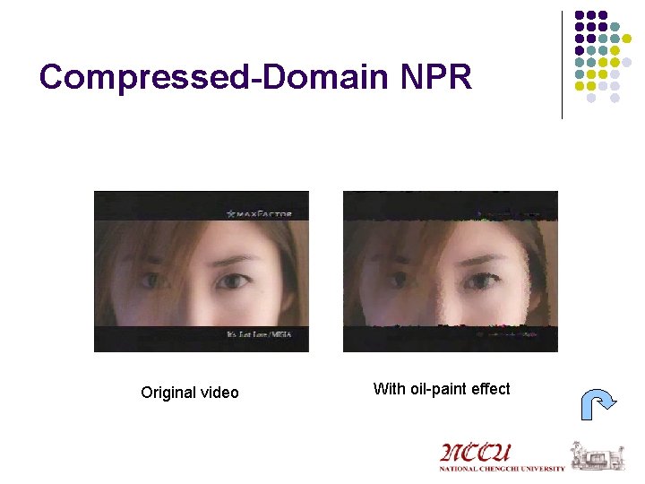 Compressed-Domain NPR Original video With oil-paint effect 