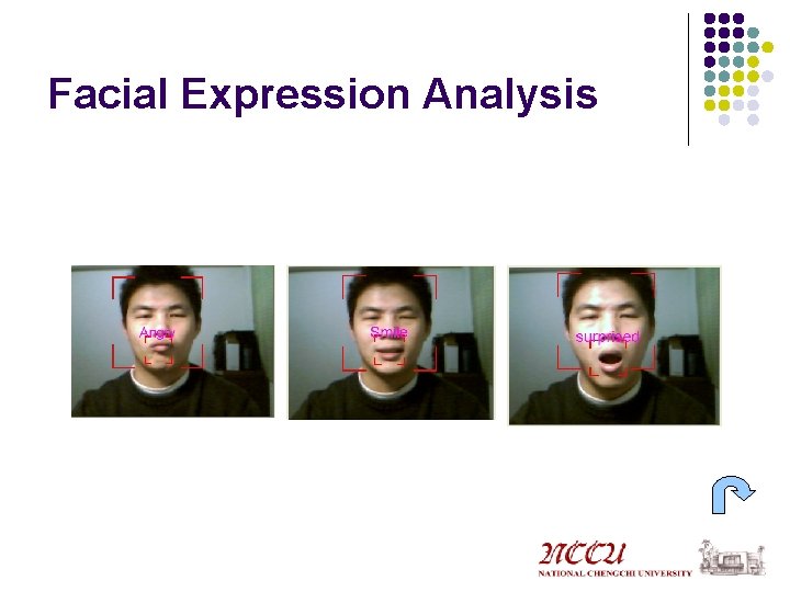 Facial Expression Analysis 