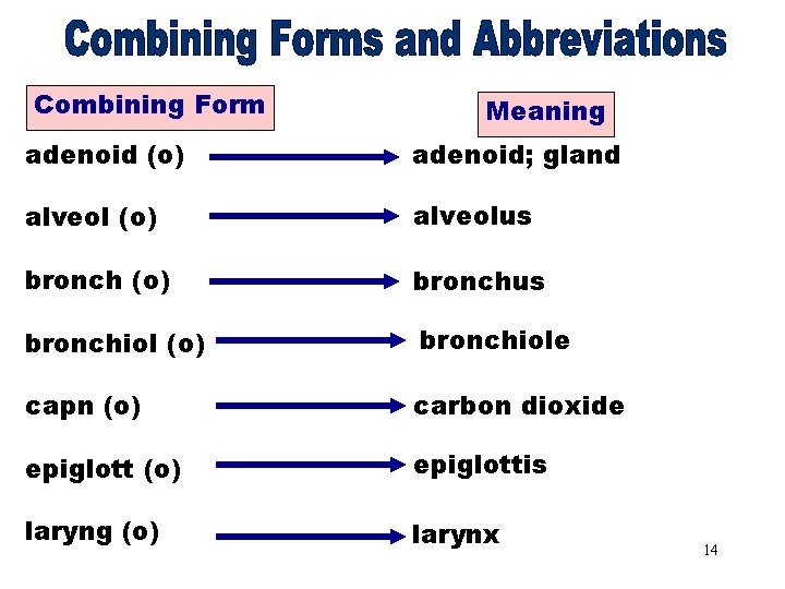 Combining Forms & Combining Form Meaning Abbreviations [adenoid(o)] adenoid (o) adenoid; gland alveol (o)