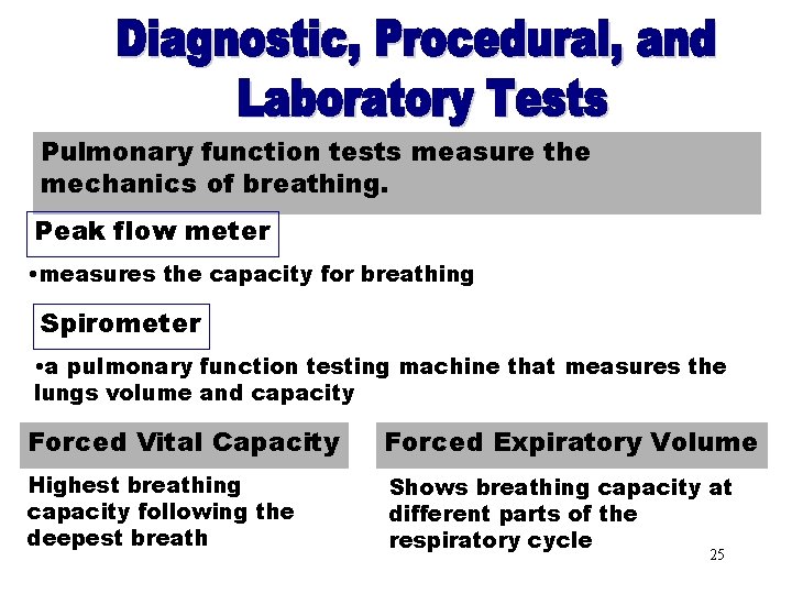 Pulmonary Function Tests Pulmonary function tests measure the mechanics of breathing. Peak flow meter