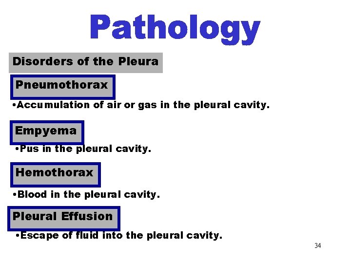 Disorders of the Pleura Pneumothorax • Accumulation of air or gas in the pleural