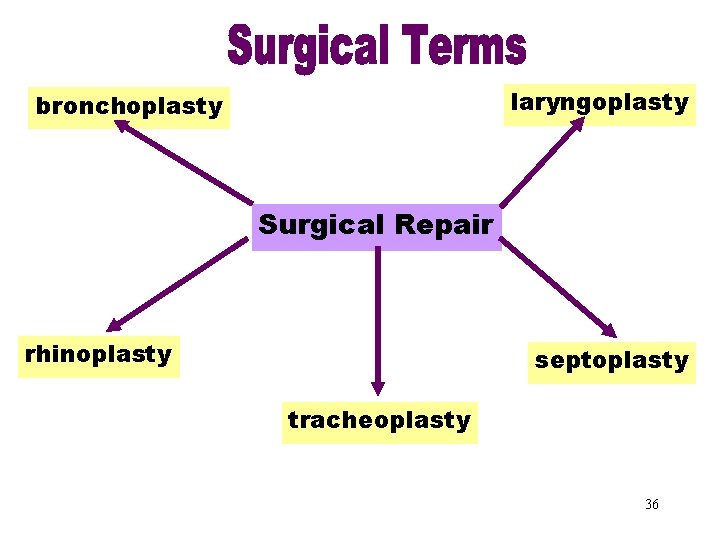 bronchoplasty Surgical Repair laryngoplasty Surgical Repair rhinoplasty septoplasty tracheoplasty 36 