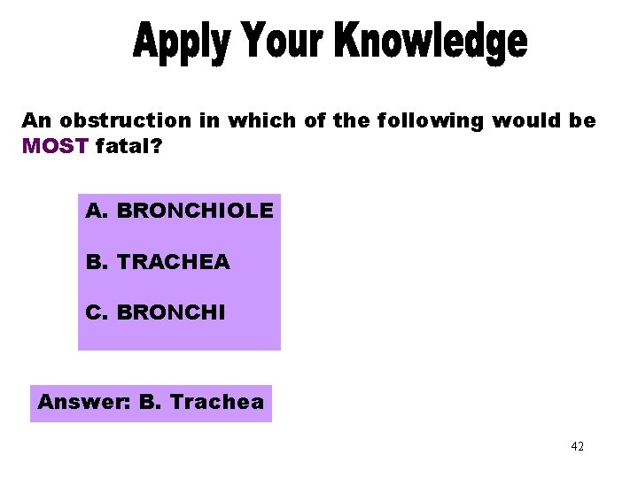 Apply Your Knowledge Part 2 An obstruction in which of the following would be