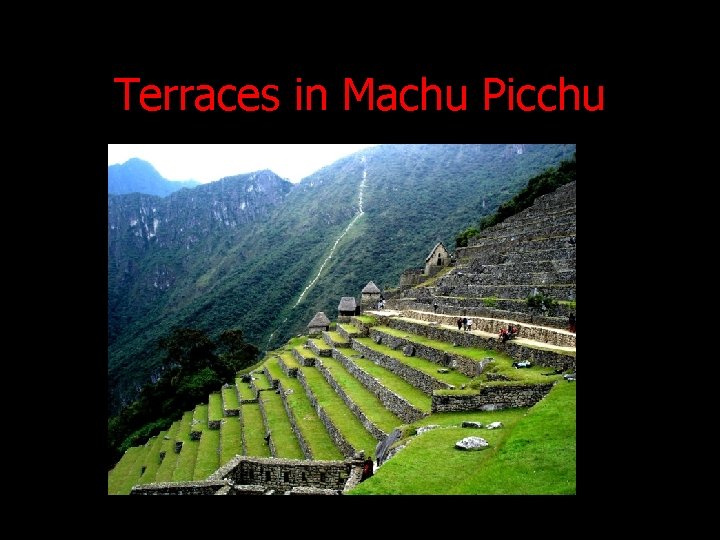 Terraces in Machu Picchu 
