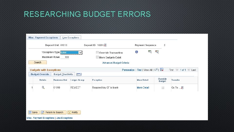 RESEARCHING BUDGET ERRORS 