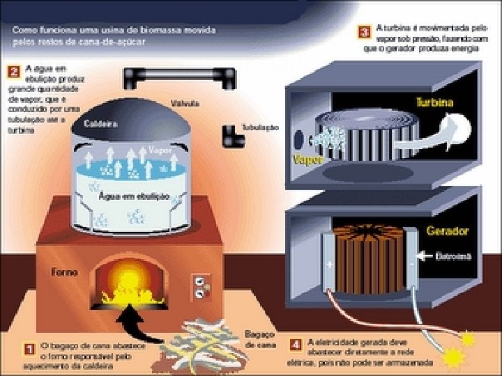 Como transformar a biomassa em eletricidade 