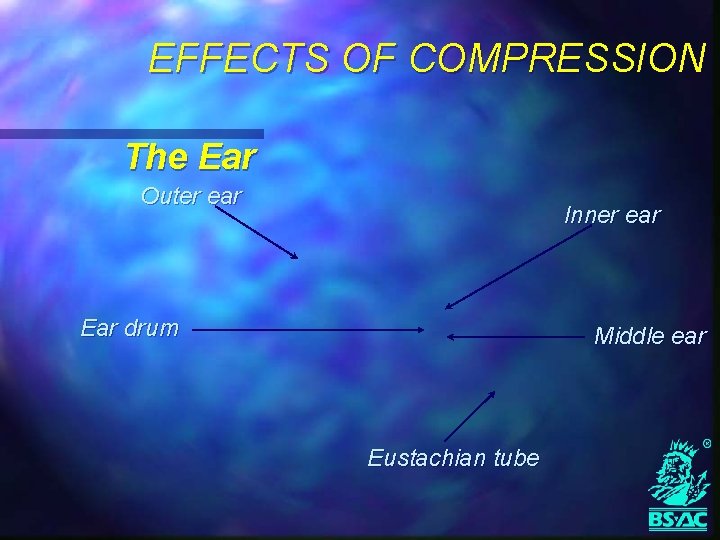 EFFECTS OF COMPRESSION The Ear Outer ear Inner ear Ear drum Middle ear Eustachian