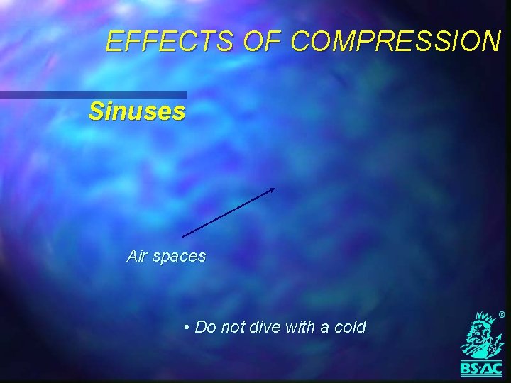 EFFECTS OF COMPRESSION Sinuses Air spaces • Do not dive with a cold 