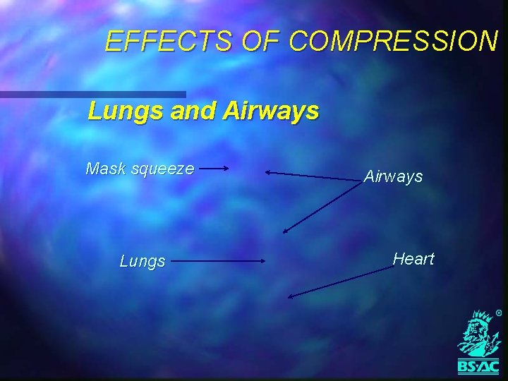 EFFECTS OF COMPRESSION Lungs and Airways Mask squeeze Lungs Airways Heart 