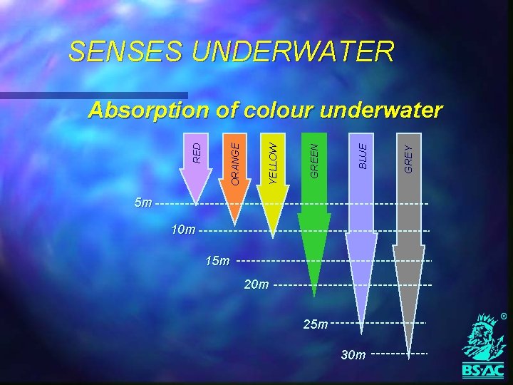 SENSES UNDERWATER 5 m 10 m 15 m 20 m 25 m 30 m