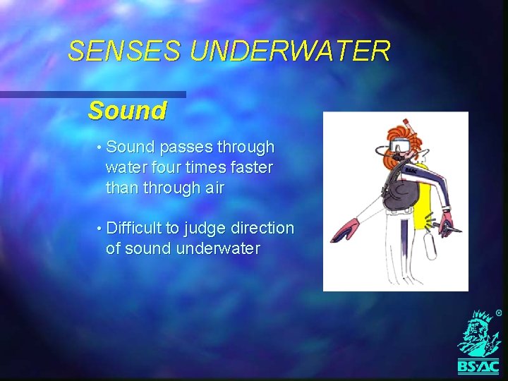 SENSES UNDERWATER Sound • Sound passes through water four times faster than through air