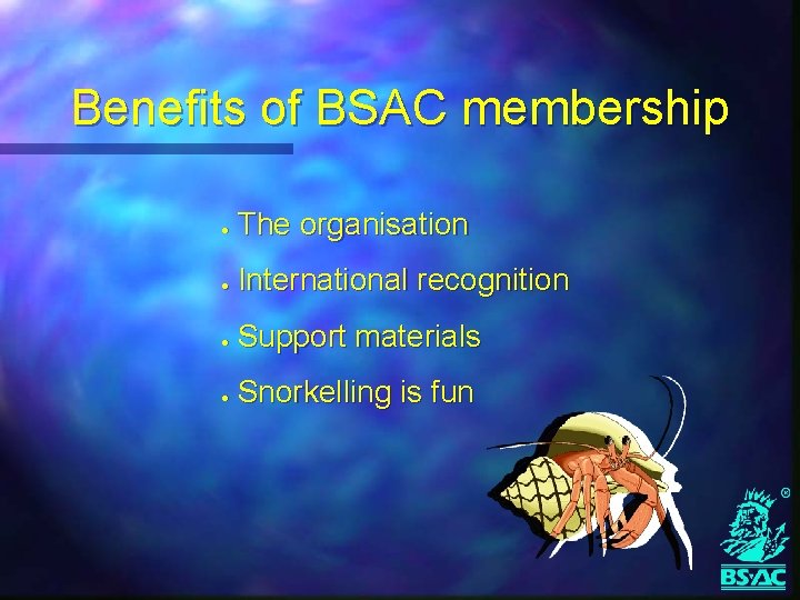 Benefits of BSAC membership l l The organisation International recognition Support materials Snorkelling is