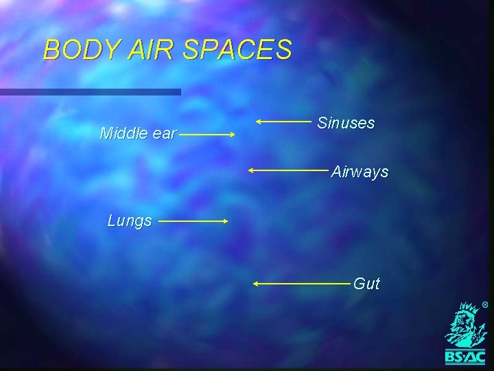 BODY AIR SPACES Middle ear Sinuses Airways Lungs Gut 