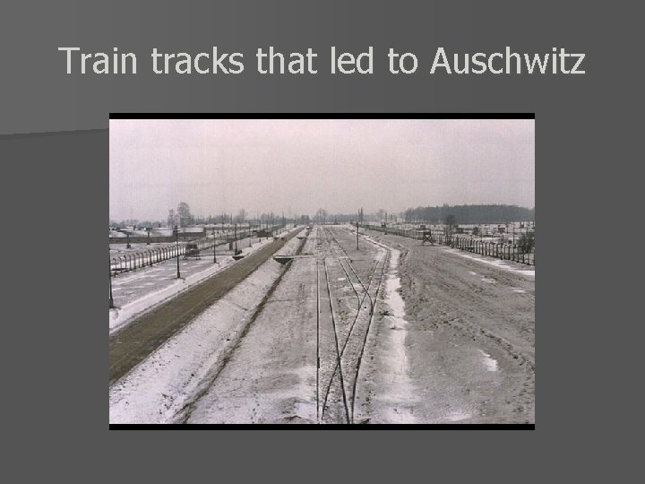 Train tracks that led to Auschwitz 