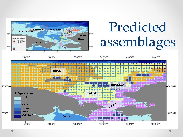 East Siberian Sea Wrangel Isl. Herald Canyon Icy Cape Alaska Chukotka Predicted assemblages northeast