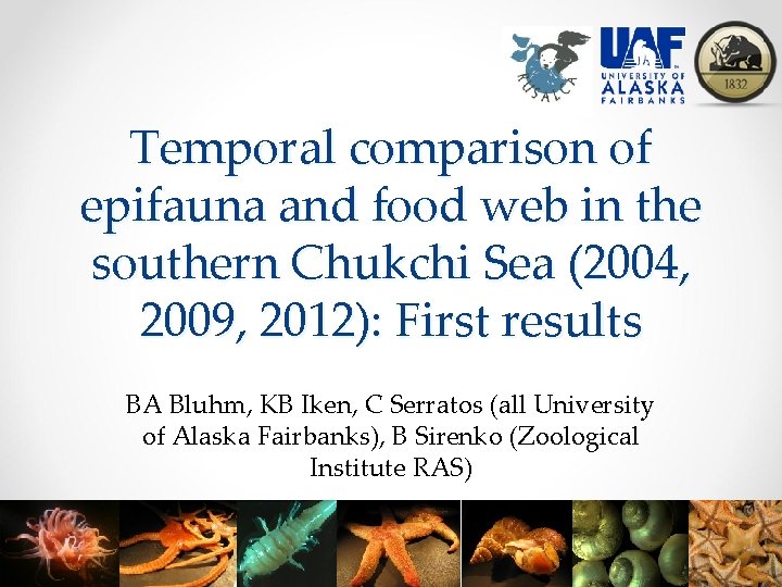 Temporal comparison of epifauna and food web in the southern Chukchi Sea (2004, 2009,