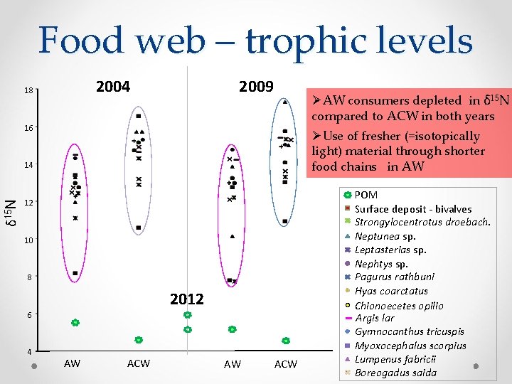 Food web – trophic levels 2009 2004 18 ØAW consumers depleted in δ 15