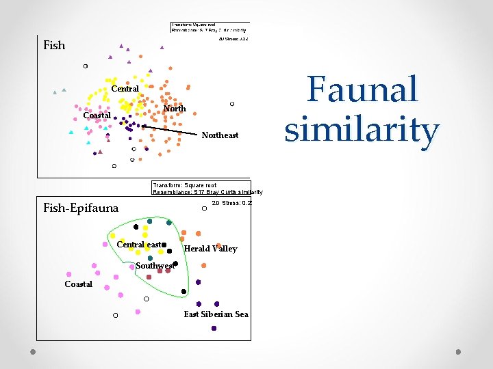 Fish Faunal similarity Central North Coastal Northeast Transform: Square root Resemblance: S 17 Bray