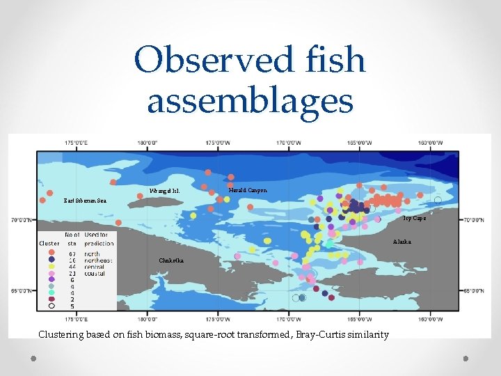 Observed fish assemblages Wrangel Isl. Herald Canyon East Siberian Sea Icy Cape Alaska Chukotka