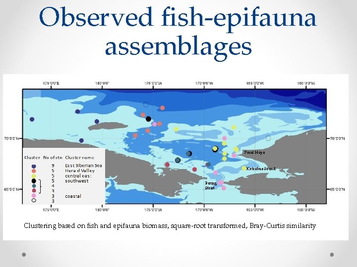 Observed fish-epifauna assemblages Point Hope Kotzebue Sound Bering Strait Clustering based on fish and