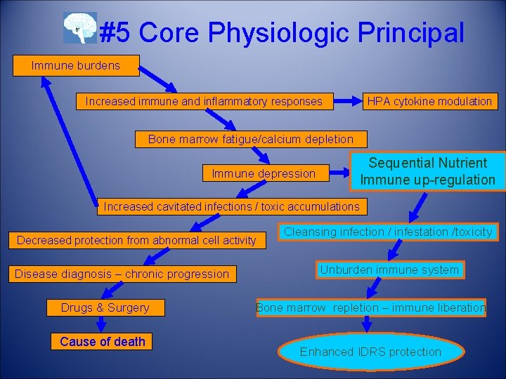 #5 Core Physiologic Principal Immune burdens Increased immune and inflammatory responses HPA cytokine modulation