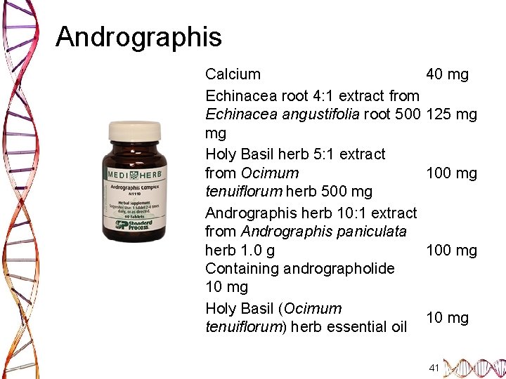 Andrographis Calcium 40 mg Echinacea root 4: 1 extract from Echinacea angustifolia root 500