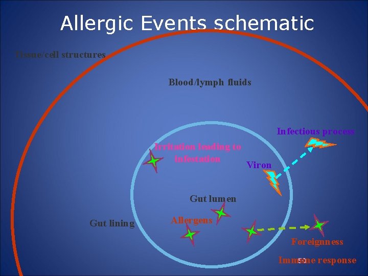 Allergic Events schematic Tissue/cell structures Blood/lymph fluids Infectious process Irritation leading to infestation Viron