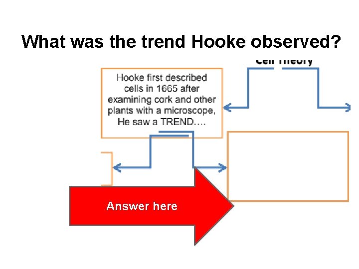 What was the trend Hooke observed? Answer here 