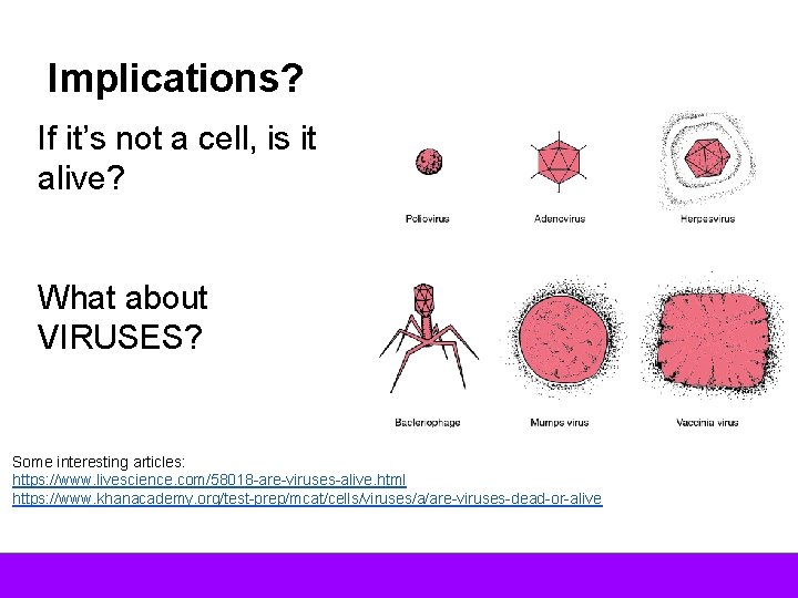 Implications? If it’s not a cell, is it alive? What about VIRUSES? Some interesting