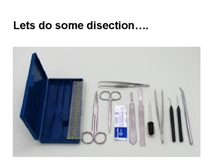 Lets do some disection…. 
