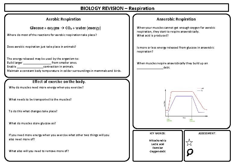 BIOLOGY REVISION – Respiration Aerobic Respiration Glucose + oxygen → CO₂ + water (energy)