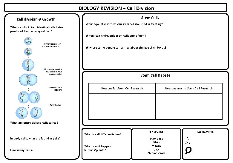 BIOLOGY REVISION – Cell Division Stem Cells Cell division & Growth What results in