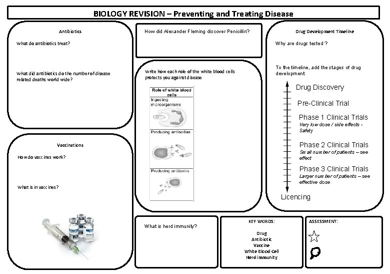 BIOLOGY REVISION – Preventing and Treating Disease Antibiotics What do antibiotics treat? What did