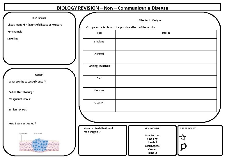 BIOLOGY REVISION – Non – Communicable Disease Risk Factors List as many risk factors