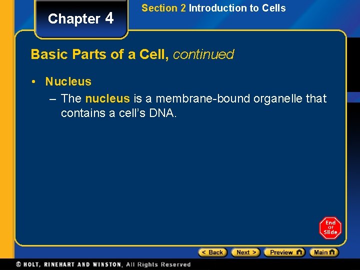 Chapter 4 Section 2 Introduction to Cells Basic Parts of a Cell, continued •