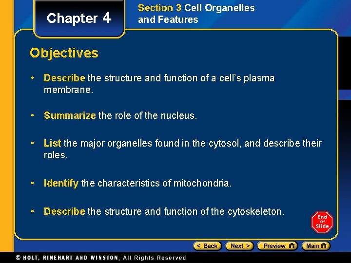 Chapter 4 Section 3 Cell Organelles and Features Objectives • Describe the structure and