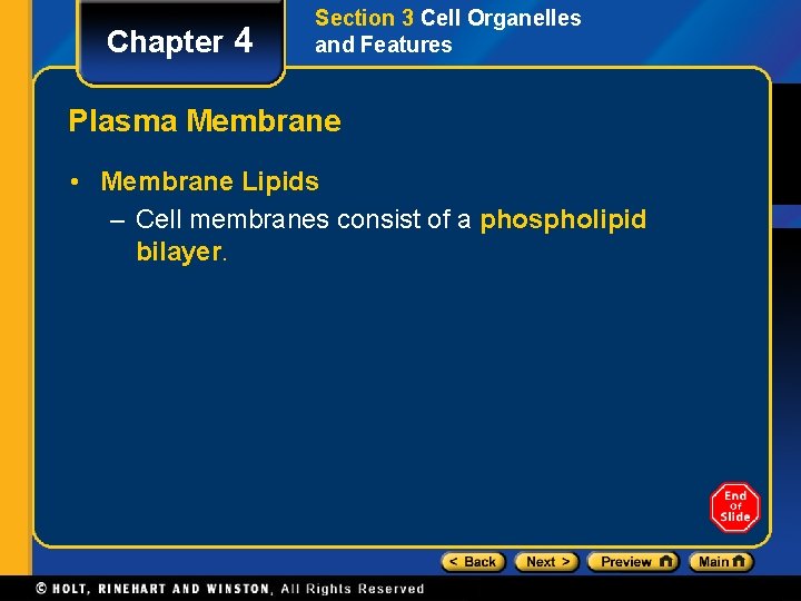 Chapter 4 Section 3 Cell Organelles and Features Plasma Membrane • Membrane Lipids –