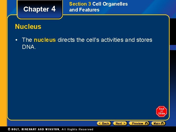 Chapter 4 Section 3 Cell Organelles and Features Nucleus • The nucleus directs the