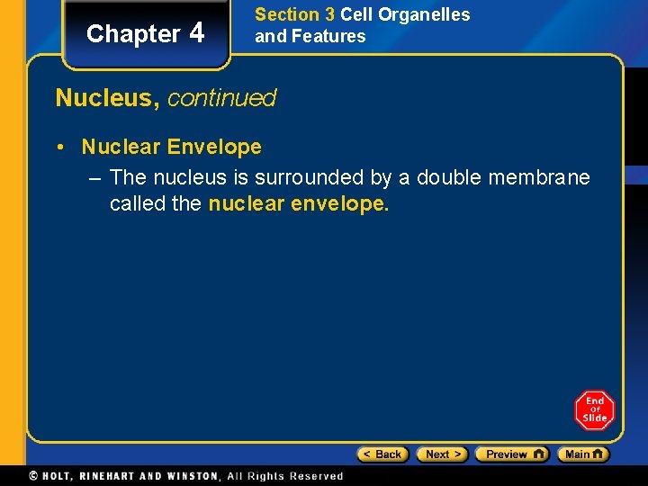 Chapter 4 Section 3 Cell Organelles and Features Nucleus, continued • Nuclear Envelope –