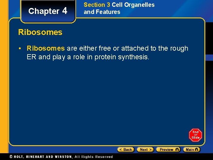 Chapter 4 Section 3 Cell Organelles and Features Ribosomes • Ribosomes are either free