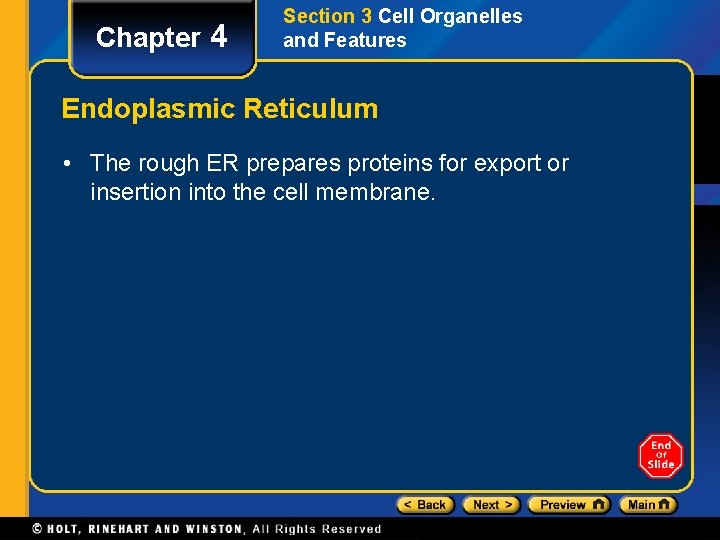 Chapter 4 Section 3 Cell Organelles and Features Endoplasmic Reticulum • The rough ER