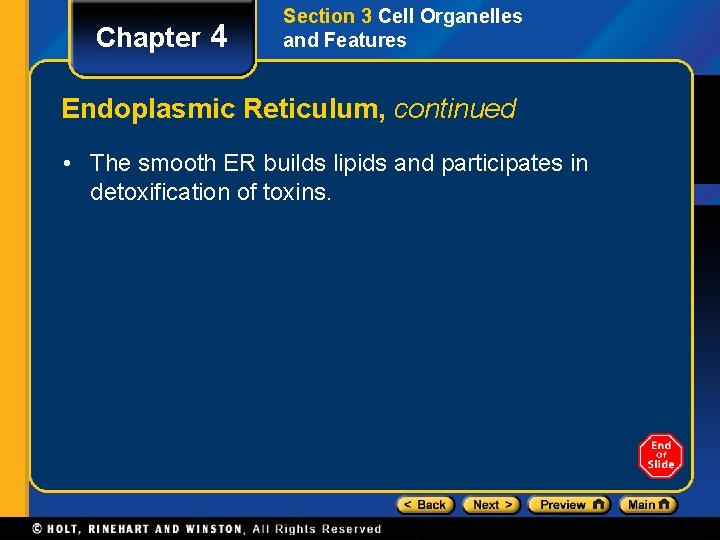 Chapter 4 Section 3 Cell Organelles and Features Endoplasmic Reticulum, continued • The smooth