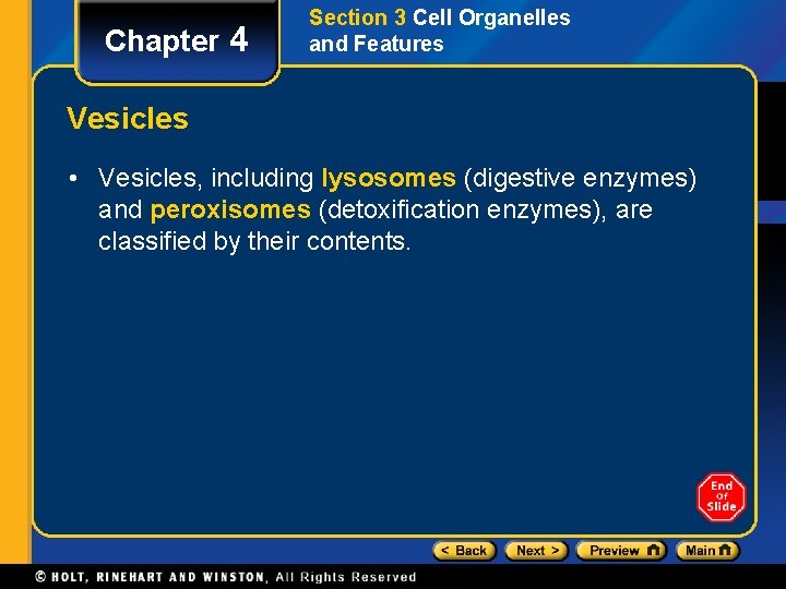 Chapter 4 Section 3 Cell Organelles and Features Vesicles • Vesicles, including lysosomes (digestive