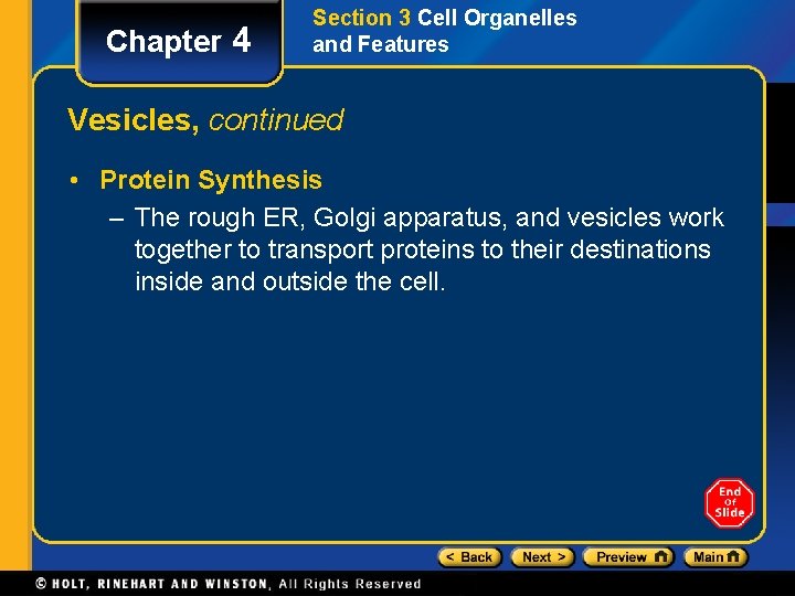 Chapter 4 Section 3 Cell Organelles and Features Vesicles, continued • Protein Synthesis –